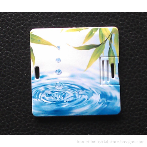 1/2/4/8/16GB Special Design Printed Card USB Flash Drive-089 (IMT-089)
